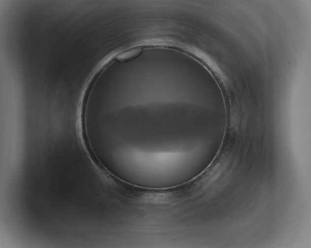 X0000102411237200808011600