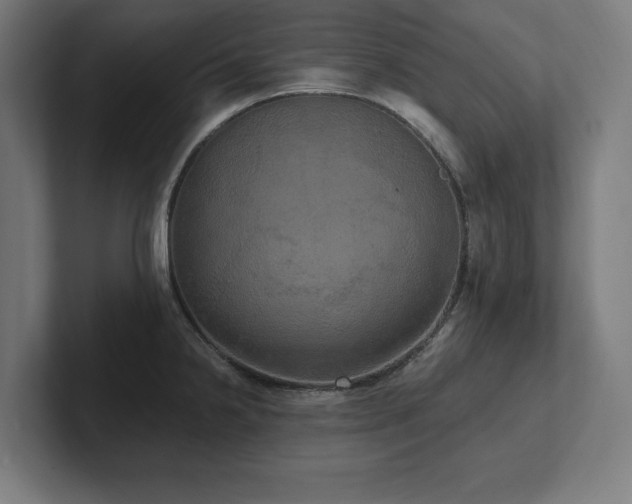 X0000102411238200808011600