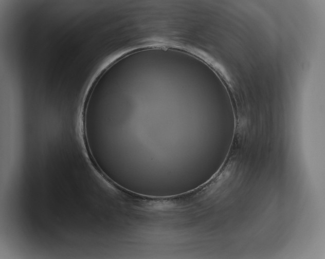 X0000102411239200808011600