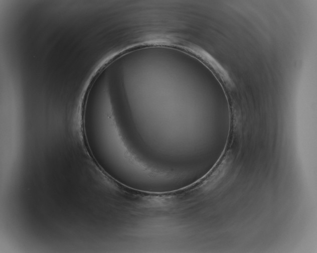 X0000102411240200808011600