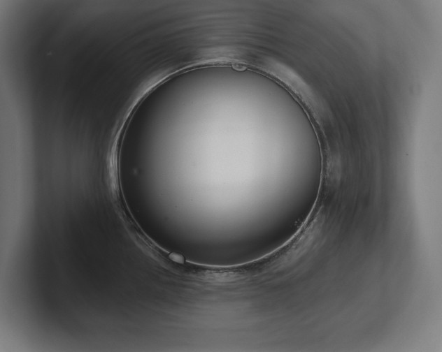 X0000102411242200808011600