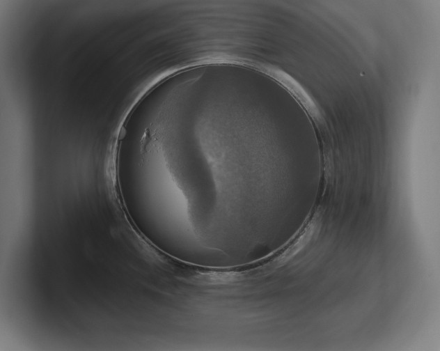 X0000102411244200808011600
