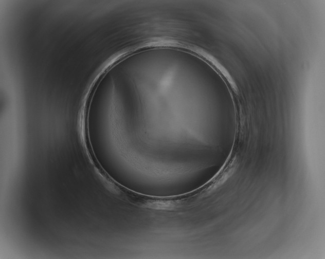 X0000102411245200808011600