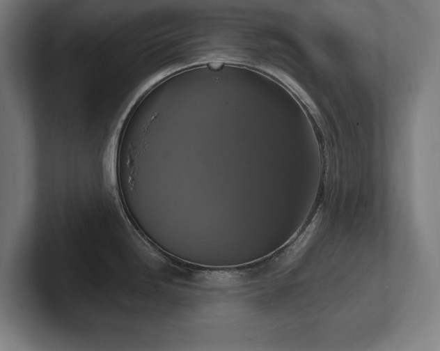 X0000102411246200808011600