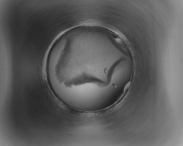 X0000102411248200808011600
