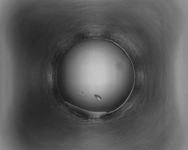 X0000102411250200808011600