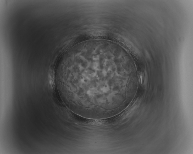 X0000102411251200808011600