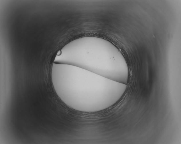 X0000102411252200808011600