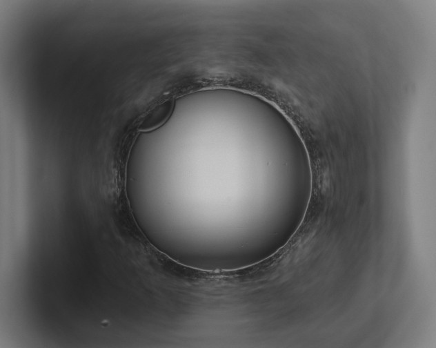 X0000102411253200808011600