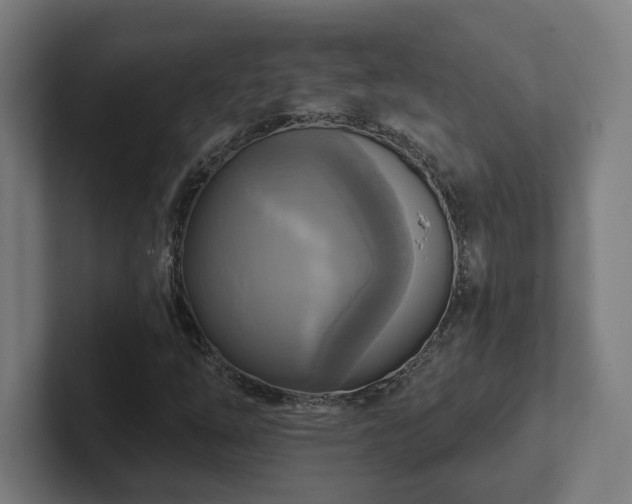 X0000102411254200808011600