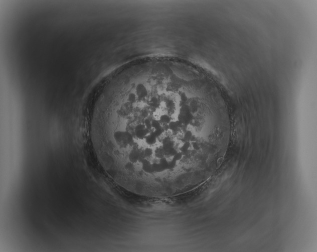 X0000102411255200808011600