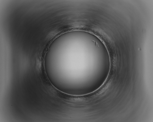 X0000102411257200808011600