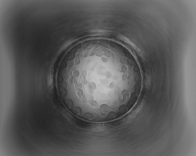 X0000102411259200808011600
