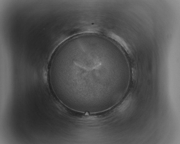 X0000102411260200808011600
