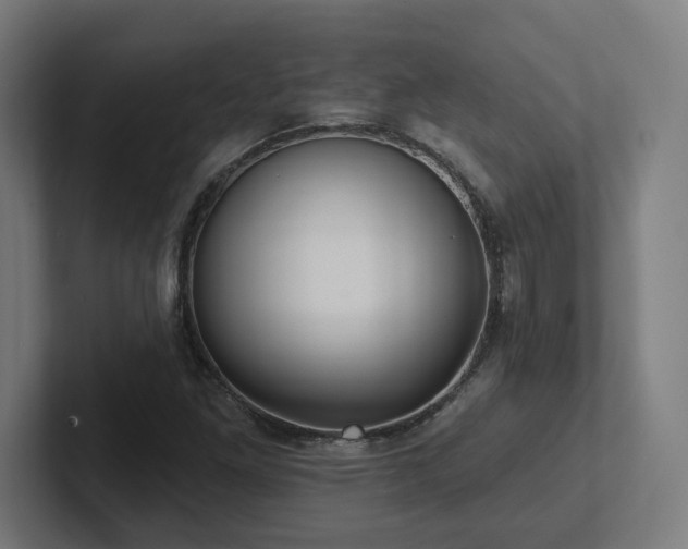 X0000102411261200808011600