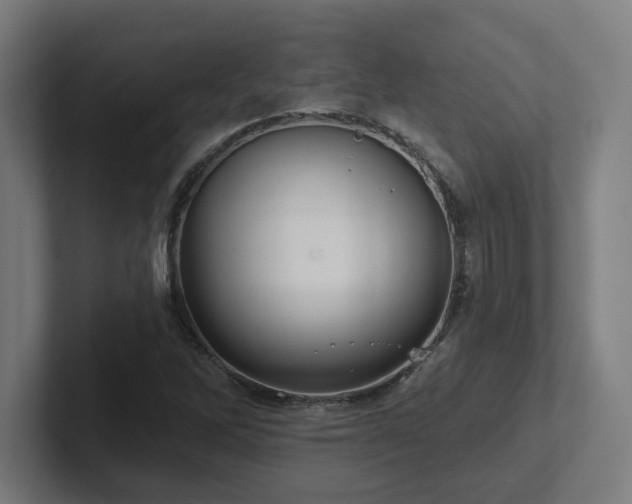 X0000102411262200808011600