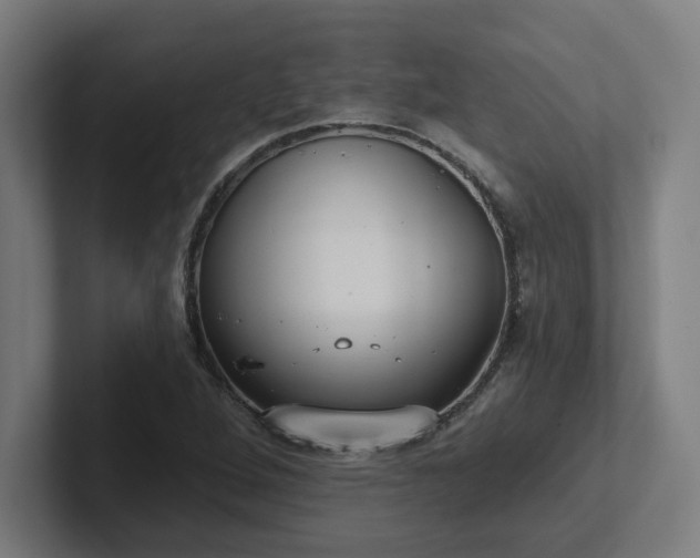 X0000102411264200808011600