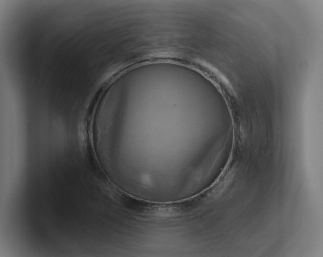 X0000102411266200808011600