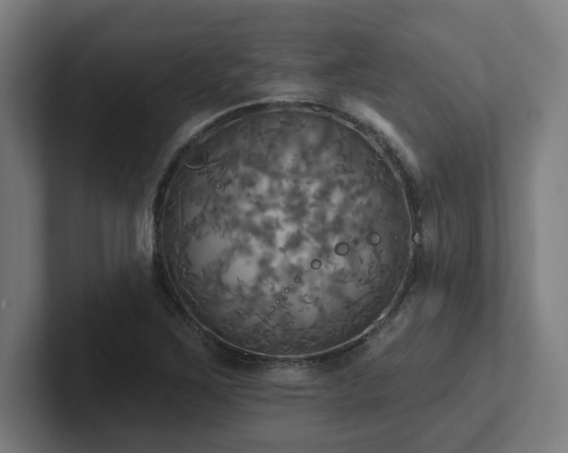 X0000102411267200808011600