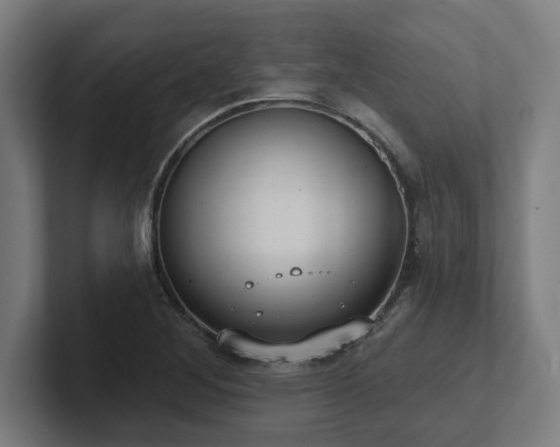 X0000102411268200808011600