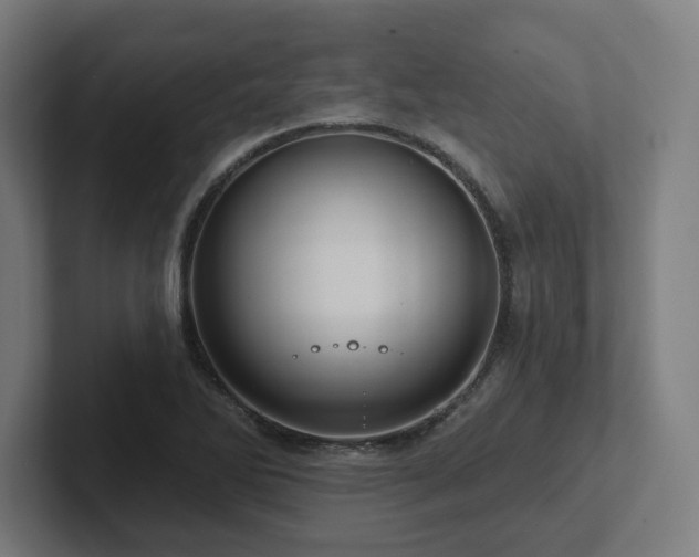 X0000102411270200808011559