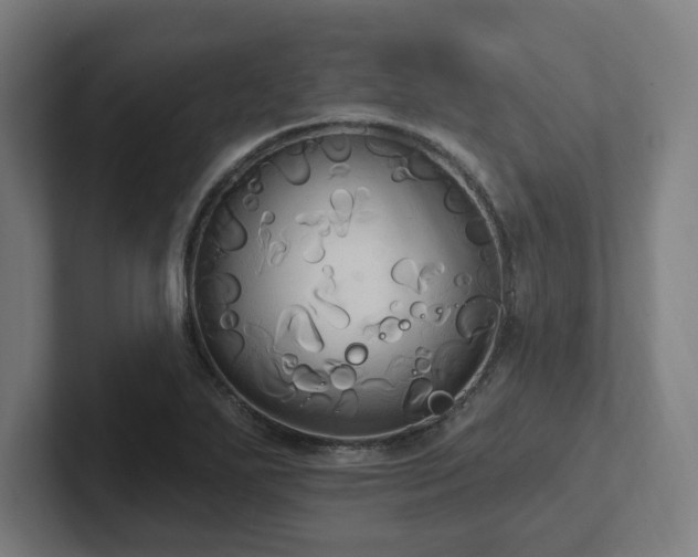 X0000102411271200808011559