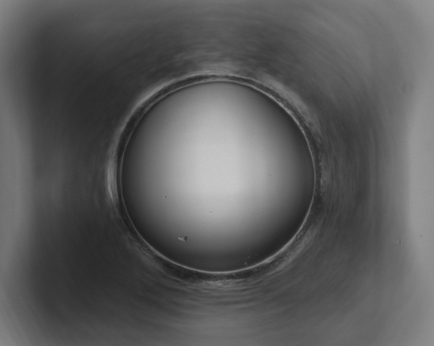 X0000102411272200808011559