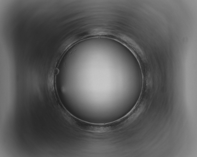X0000102411273200808011559