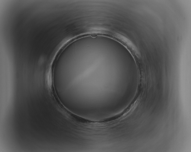 X0000102411275200808011559