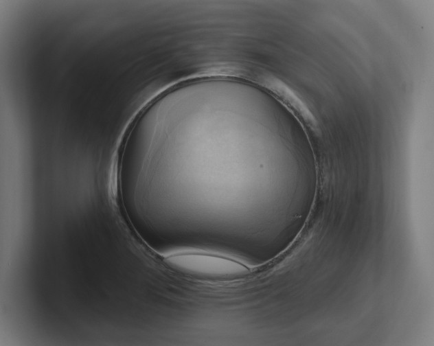 X0000102411276200808011559