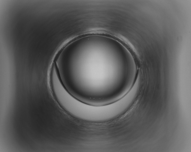X0000102411277200808011559