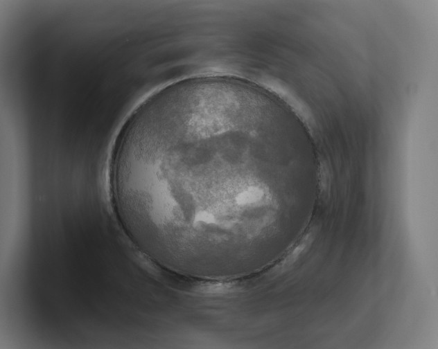 X0000102411278200808011559