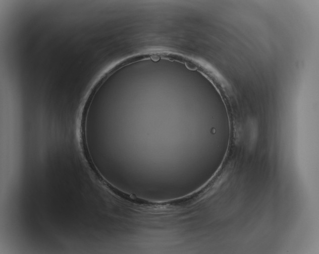 X0000102411279200808011559