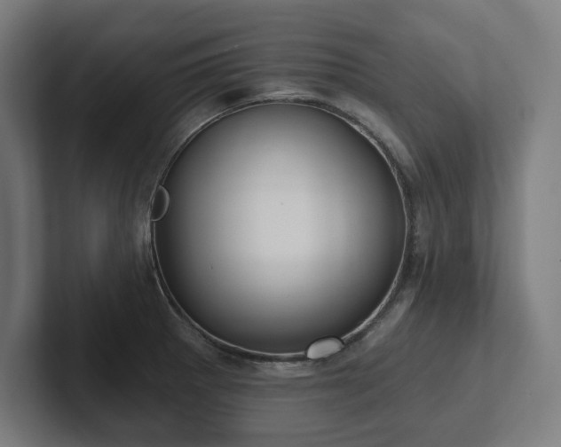X0000102411281200808011559