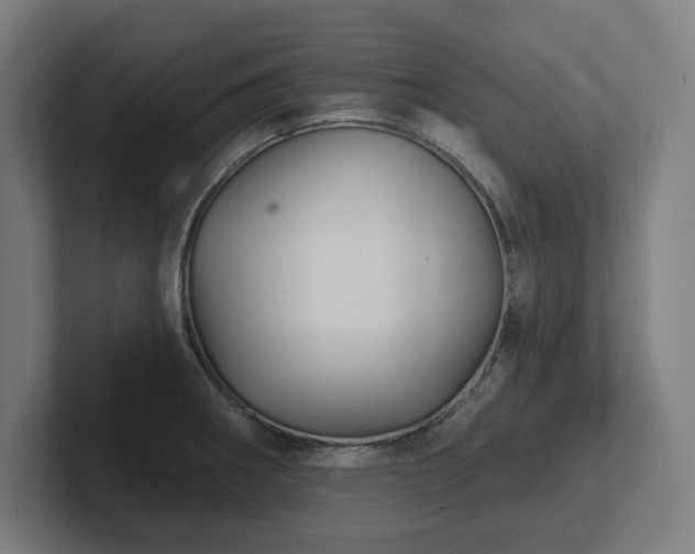 X0000102411282200808011559