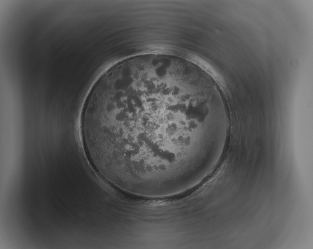 X0000102411283200808011559