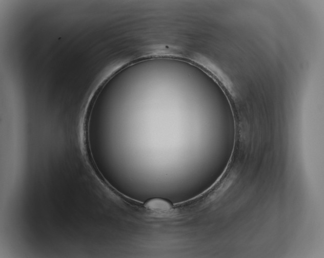 X0000102411285200808011559