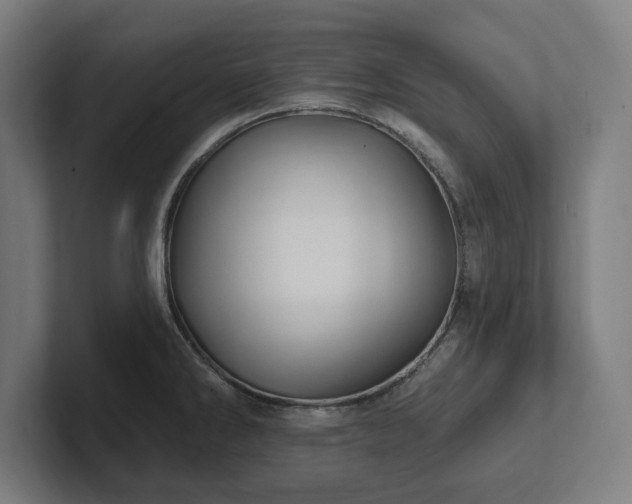 X0000102411286200808011559