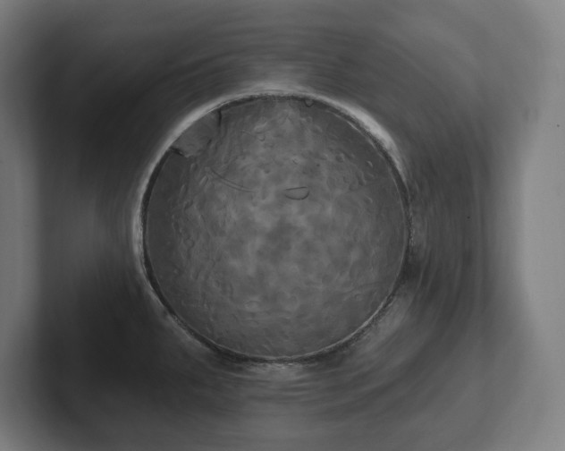 X0000102411287200808011559