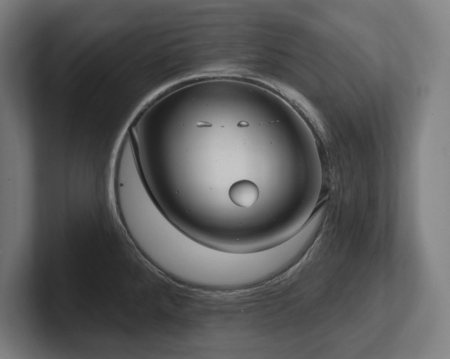 X0000102411288200808011559