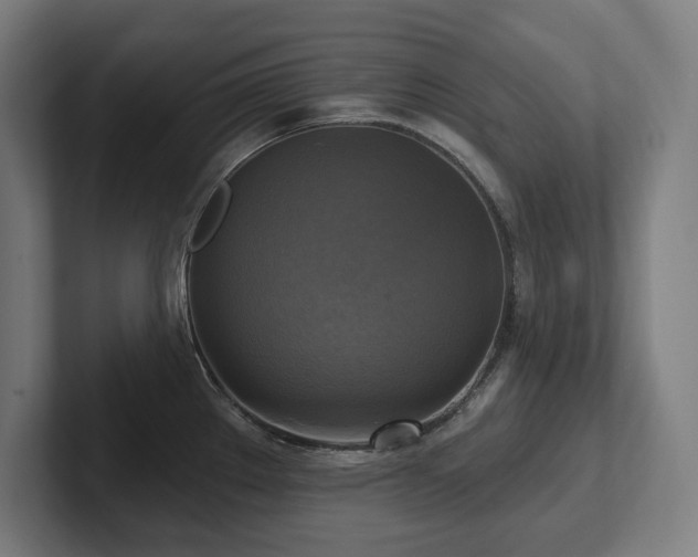 X0000102411289200808011559