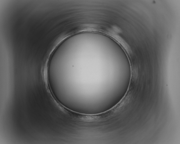 X0000102411290200808011559