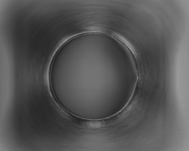 X0000102411291200808011559