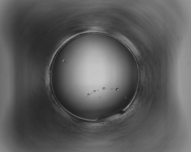 X0000102411292200808011559