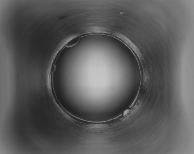 X0000102411293200808011559