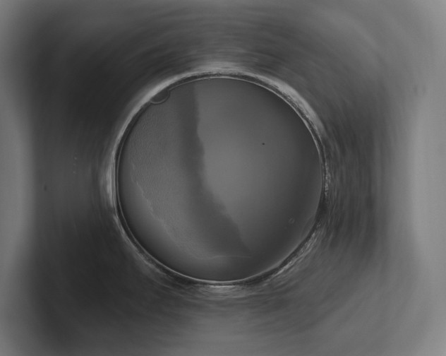 X0000102411295200808011559
