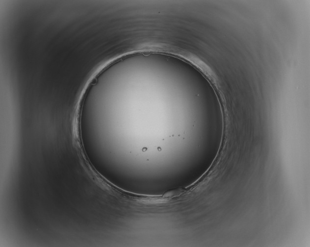 X0000102411296200808011559