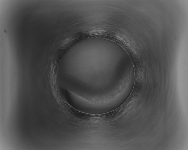 X0000102411297200808011558