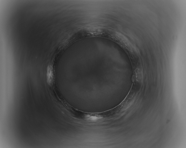 X0000102411298200808011558