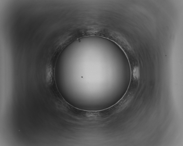 X0000102411299200808011558